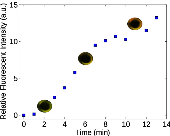 Figure 2.7 continuous illumination from an epifluorescence microscope. (a) Absolute fluorescent intensity of well-immobilized beads and COC substrate