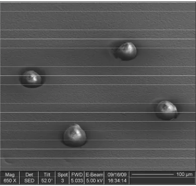 Figure 3.1 : Electron micrograph (650array loaded with dry agarose beads. 