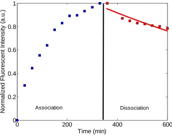 Figure 3.8   : Experimental association (C~o= 20 nM) and dissociation curves. The solid (red) curve is a single exponential fit to the experimental dissociation data