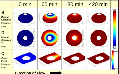 Figure 3.10: Finite element simulation results depicting the concentration of QDots on and around the bead as functions of time for the same conditions as in Figure 3.9