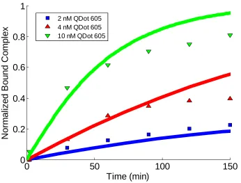 Figure 3.11: Experimental (symbols) and finite element results (lines) for the normalized total bound complex as a function of time when 