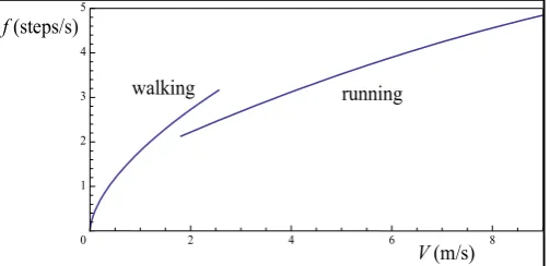 Fig. 2. Step frequency as a function of walking speed from Eq. (2) and running speed from Eq