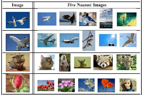 Figure 2. Sample query image retrieval of the dataset 