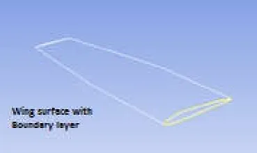 Fig. 7. 3D Wing surface  inside domain  