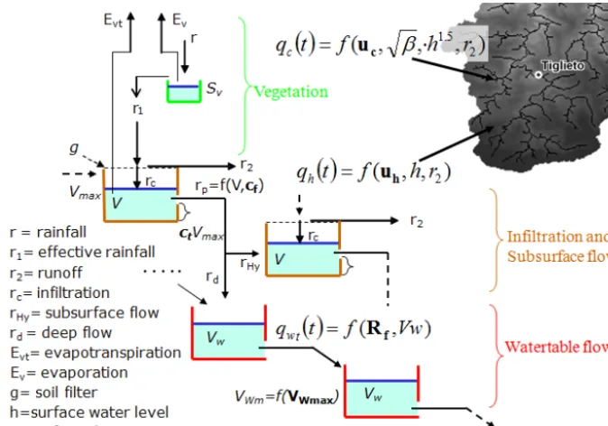 Figure 1. Representation of the different processes described in Continuum model and how different cells are connected
