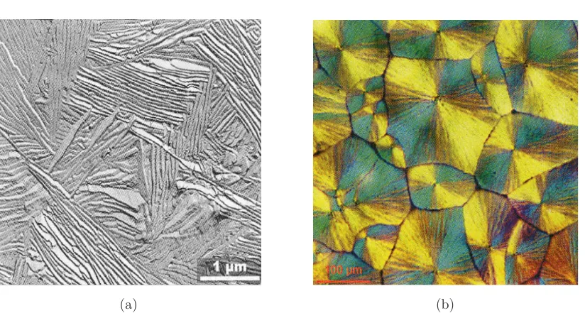 Figure 1.1: (a) TEM micrograph of “granular” microstructure in polyethylene crystallized at 130 C for 27days