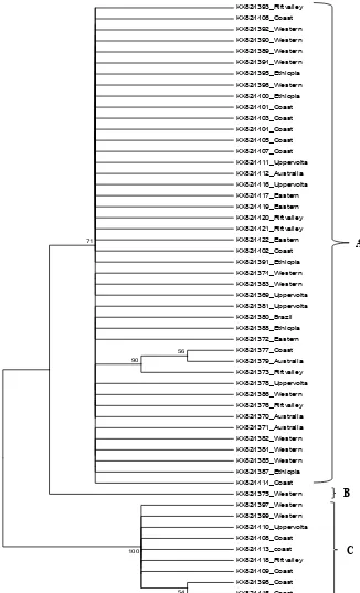 Figure 14. matK loci: Phenogram of NJ cluster analyses. The phylogenetic tree based on matK gene sequences, constructed using the neighbor-joining algorithm