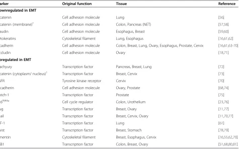 Table 1 Frequently used protein markers for epithelial-mesenchymal transition (EMT)