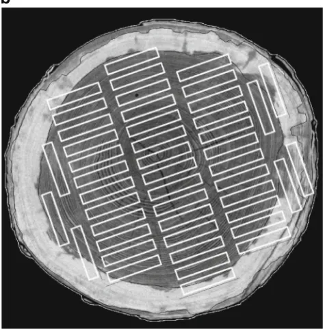 Fig. 3 a Sectors deﬁned on the log cross-section for preclassiﬁcationof the sample boards according to expected direction of annual rings.The sectors are centred on the pith and aligned with the sawingpattern so that the centre line of sector is parallel t