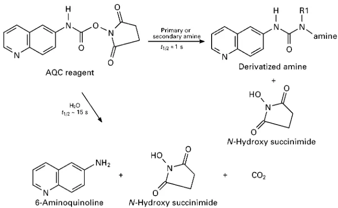 Figure 2Typical immobilized or solid-phase reagent. The 6-AQ-tagged polymeric reagent reacts with amines (703C, 10 min),producing a derivative free in solution, now 6-AQ derived