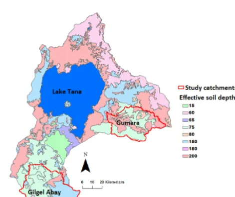 Figure 5. Major soil types in the Lake Tana Basin and the studycatchments (source: BCEOM, 1998).