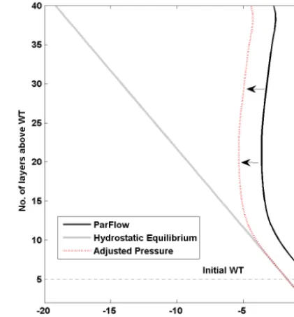 Figure 3. Adjusted pressure head distribution above the estimatedDTWT from the DTWT function