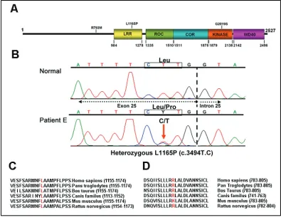 Figure 2-1. Identification of patients with LRRK2 mutations and sequence alignment of amino acids 