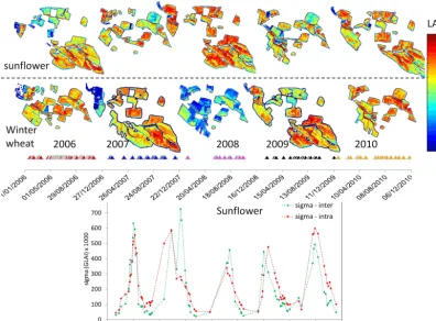 Figure 3. Above: maps of maximum LAI observed for each year and each crop mask. Maxima of winter wheat LAI were not observedduring spring 2008 owing to heavy cloud cover throughout the area