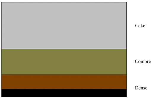 Figure 2. Cake layered structure physical model (according to Zhou fengsha, 2003). 