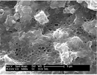 Figure 3. SEM pictures of filter cake (×5000) (Chenevert and John, 1991). 