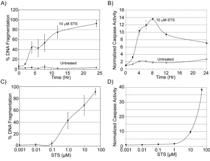 Figure 3.9. Commercial PCD assays on STS-treated RBS-HeLa cells.  (A) A TUNEL assay for DNA 