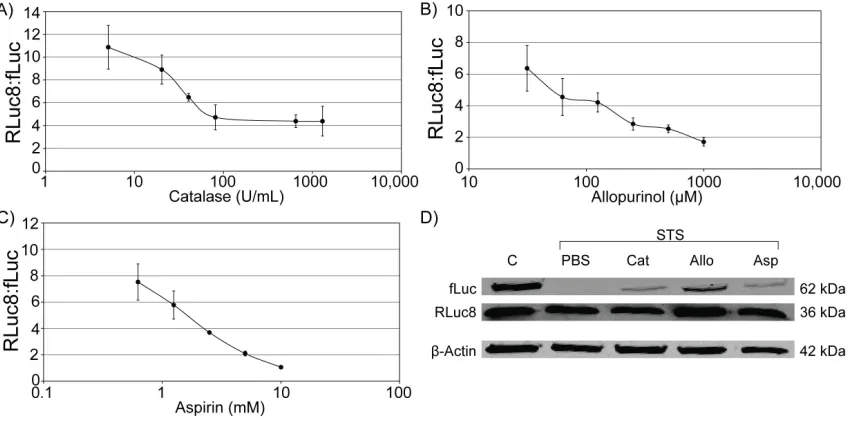 Figure 4.8. Dose response and Western blot analysis of STS-treated cells to H2O2-related scavengers