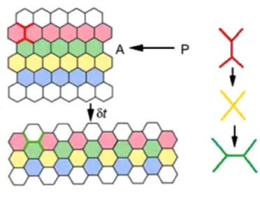 FIGURE 1-6: 