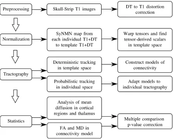 Figure 3.1:A overview of the steps required in the processing for the populationanalysis of structure and connectivity.