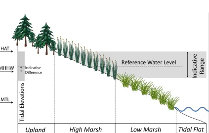 Figure 2.10 - Schematic representation of the Indicative Meaning.  The concept of the Indicative Meaning formalizes the relationship between a sea-level indicator (e.g