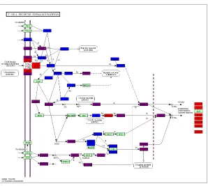 Figure 2.6: HIV TAT T cell receptor signaling pathway.signaling pathway is colored for predicted TAT-human interactions (blue) and validatedTAT-human interactions (red), and their overlap (purple)