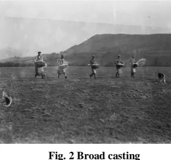 Fig. 1 Line Sowing Technique 