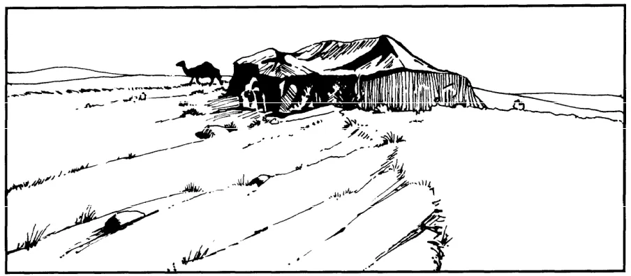 Figure 1-8 for an example of desert nomads), the population lives in thick-near roads and trails