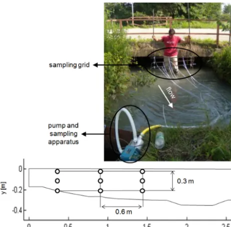 Figure 4. Electrodes disposition for cross-ﬂow FERT: images ofthe electrodes and the anchoring system (top panel) and of the meshused for the inversion (bottom panel); the bottom section is seenfrom upstream.