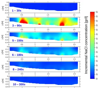 Figure 7.  30 s intervals), image number and time indication with reference to Figure 5, seen from Concentrations in the imaged section for increasing times (over about  Concentrations in the imaged section for increasing times (over about 30 s intervals), image number and time indication with