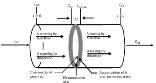 Figure 1. Hypothetical representation of a riser reactor in which reaction and dispersion are occurring simultaneously