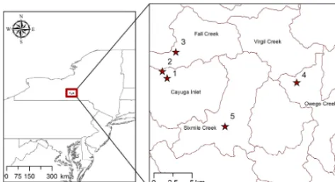 Figure 1. Study site locations (red stars). Watershed boundaries aredepicted by red polygons (USGS, 12-digit hydrologic unit codes).
