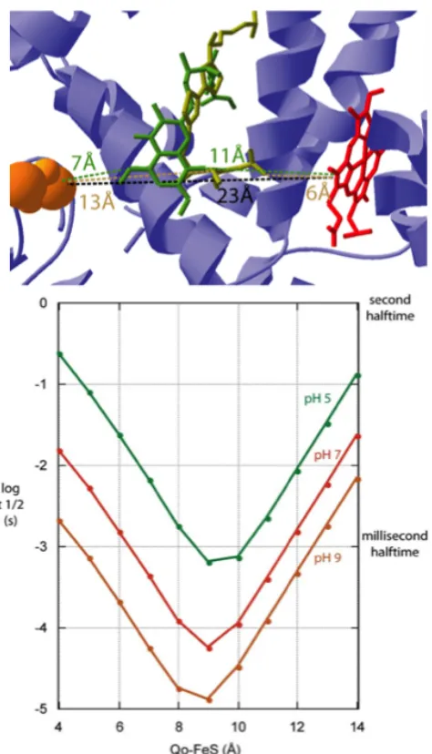 Figure 1.4  (top panel): Crystal structure of FeS-Qo-   bL active sites, drawn from PDB file 1PPJ [5]