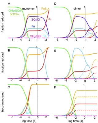 Figure 1.8:  Electron tunneling calculations for Complex III. Shown on the left  (A, C, E) are rate calculations that assume that Complex III is functional as a monomer, and shown on the right  (B, D, F) are those for a functional dimer