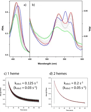 Figure 3.9: Forming the oxy-ferrous intermediate in 5 µM AP6 in 2 mM Zwittergent.  Panels a (Soret) and b (a-bands) depict the spectral changes associated with oxidized (green), reduced (blue), and oxy-ferrous generation (red)