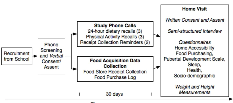 Figure 2.  Study Flow Diagram.  A flowchart of the main data collection phases 