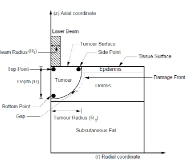 Figure 2.1: Schematic diagram of 2-D three layer skin model. 