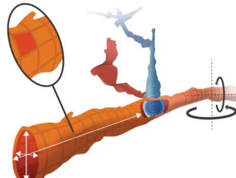 Figure 3. Representation of a theoretical pore network. The follow-ing morphological measurements are illustrated: on the left, dimen-sions of the pore as an elliptic cylinder (double white arrows); onthe left, pore surface measurement determined from the number ofvoxel faces (see magnifying glass); in the middle, connection char-acterization (pore hole); on the right, inertia tensors measurements(black arrows).