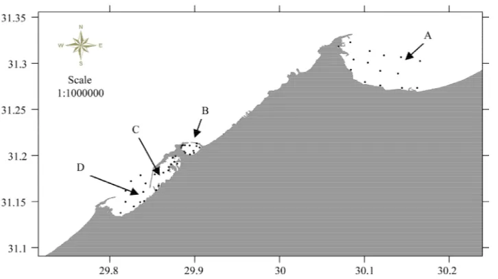 Figure 1. Sampling locations collected from the area of investigation. A: Abu Qir Bay, B: Eastern Harbour, C: Western Har-bour and D: El Max Bay during 2010