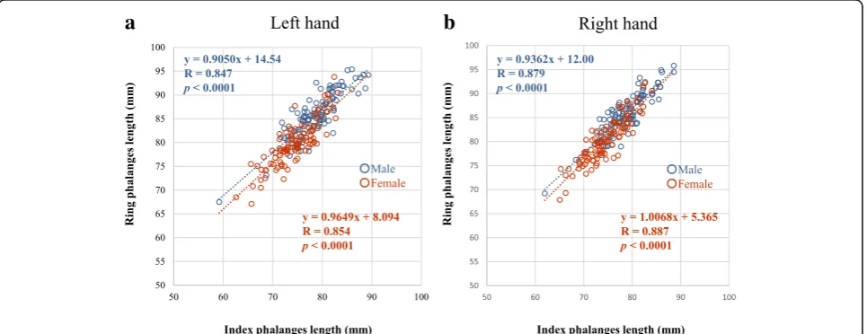 Fig. 2 Correlation between ring and index finger phalanx lengths in (a) the left hand and (b) the right hand