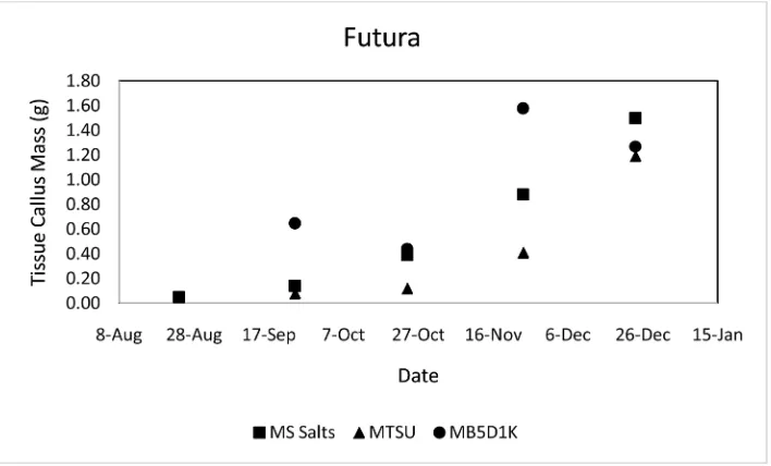 Figure 1. Canda callus mass for MS salts, MTSU, and MB5D1K media from initial plating on August 23rd to final weight on December 23rd
