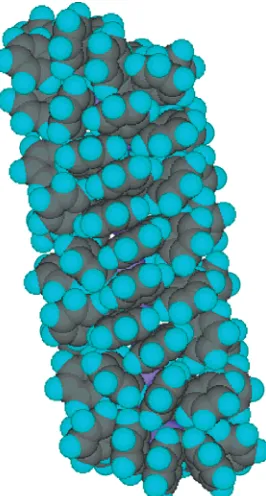 Figure 1. Space-filling model of polysilole 1.