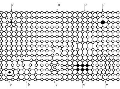 Figure 1.4: Examples of Defects in Crystalline Lattice (a) Impurity Interstitial  (b) Dislocation Line (c) Self-Interstitial (d) Cluster of Impurity Atoms (e) Extrinsic Dislocation Loop (f) Small Substitutional Impurity (g) Vacancy (h) Intrinsic Dislocatio