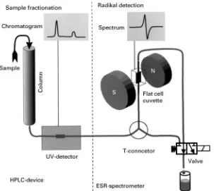 Figure 3Attachment of supplementary equipment to the ESRspectrometer as radical detector.