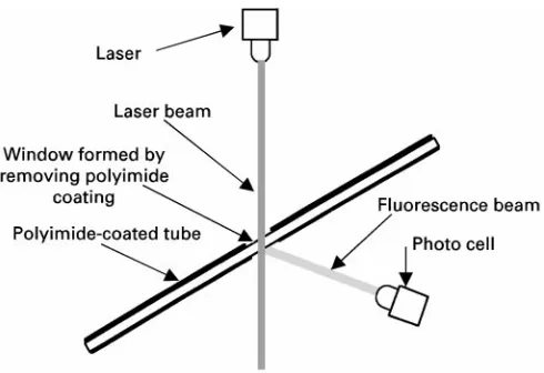 Table 1Fluorescence detector programme