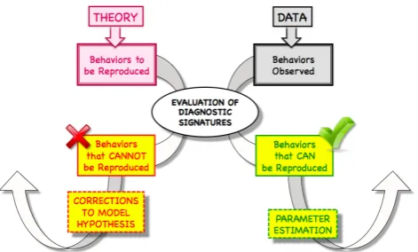 Fig. 1. How an approach based in evaluation of signature propertiescan be used to detect and diagnose model deﬁciencies and developappropriate ways to improve the model/hypothesis (ﬁgure based onideas presented in Gupta et al., 2008).