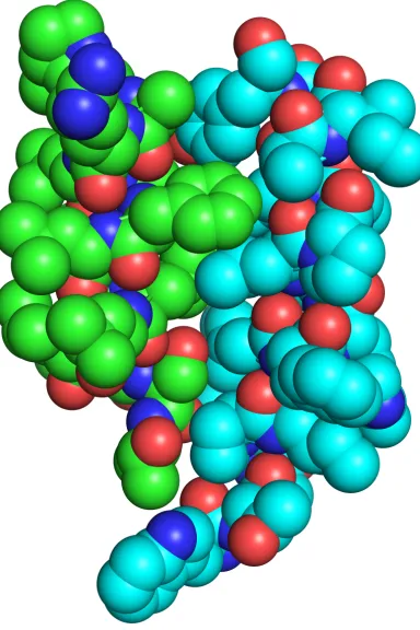 Figure 2.9: Large residues create interface in cluster 2