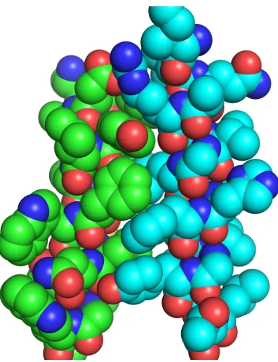 Figure 2.10: Parallel left tight packing of aromatic residues at the interface.