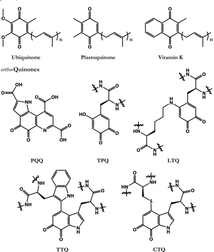 Figure 1.2. Natural quinone cofactors. PQQ, pyrroloquinoline quinone; TPQ, topaquinone; LTQ, lysine tyrosylquinone; TTQ, tryptophan tryptophylquinone; CTQ, cysteine tryptophylquinone