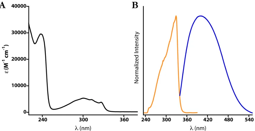 Figure 2.8.  
  Average molar absorbance spectrum in 100 mM NaPi, pH 7.4 (A) and normalized fluorescence excitation (orange, measured at 400 nm) and emission (blue, measured at 329 nm) in 20 mM Pipes, 100 mM KCl, pH 6.57 (B) of heptaNaq(OMe/OMe)